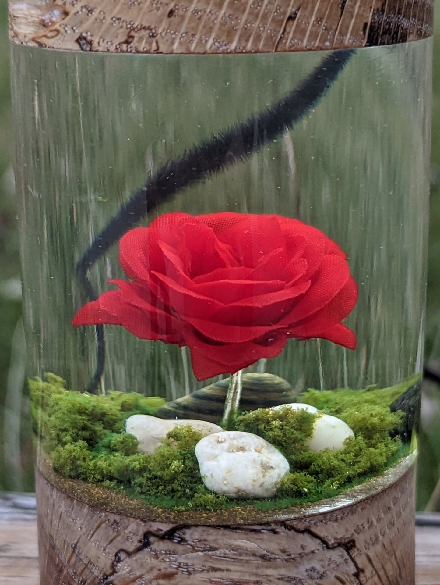 Red Rose