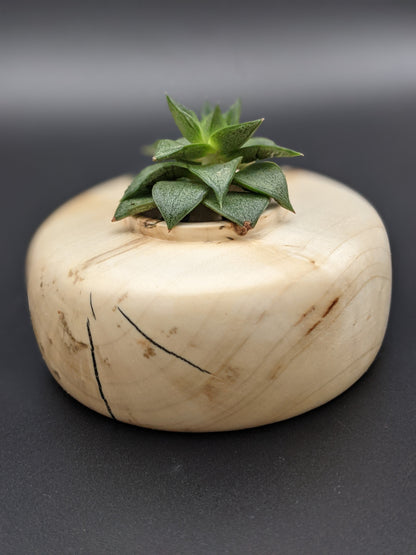 Spalted Maple Hollow Vessel #2
