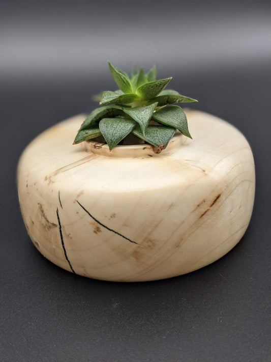 Spalted Maple Hollow Vessel #2