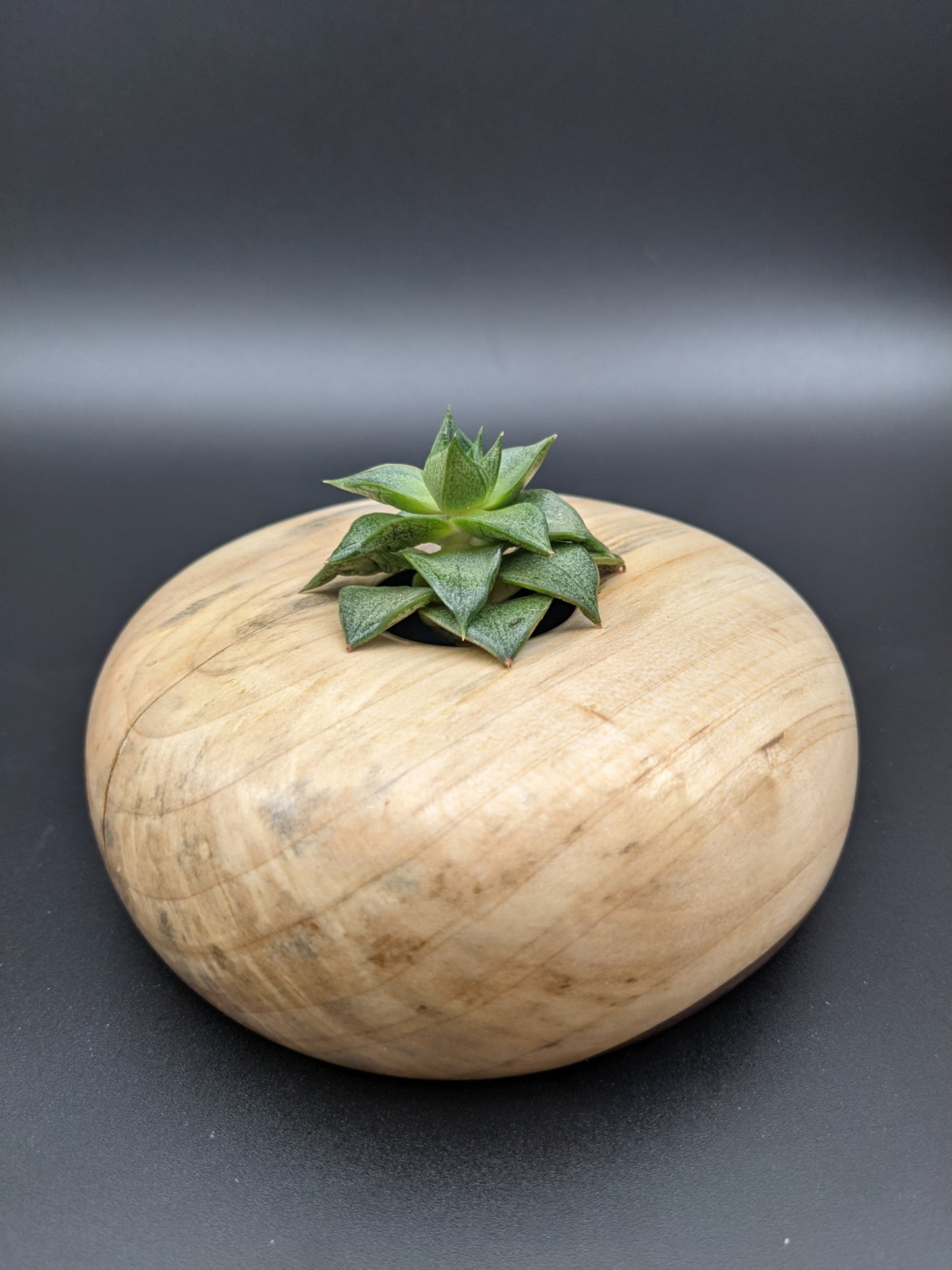 Spalted Maple Hollow Vessel