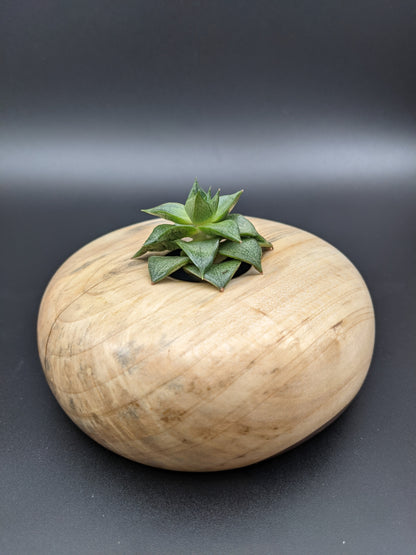 Spalted Maple Hollow Vessel