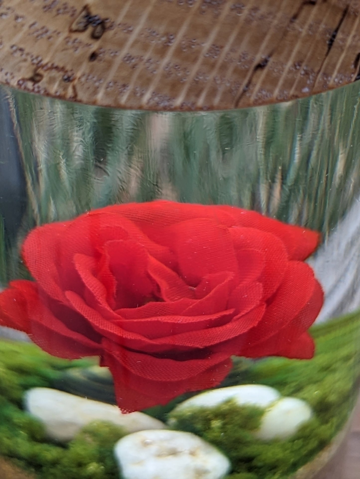 Red Rose