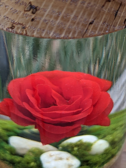 Red Rose