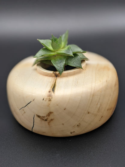 Spalted Maple Hollow Vessel #2