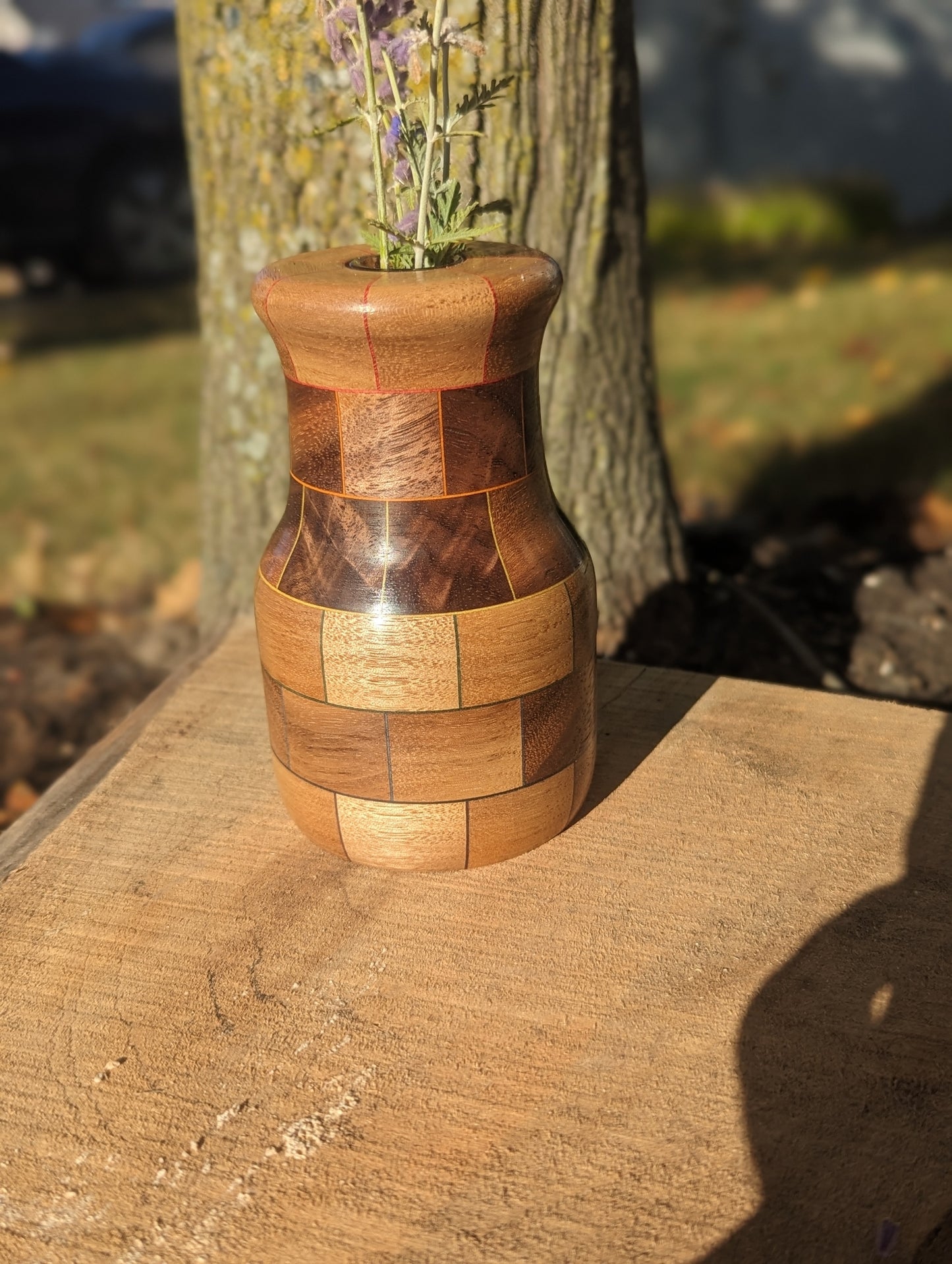 Black Walnut Pride 🏳️‍🌈 Vase